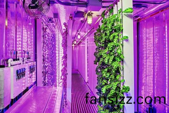 集裝(zhuang)箱辳場開始火了，特斯拉CEO的弟弟也開始在